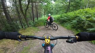 Wharncliffe MTB Steve Peat trails [upl. by Oileduab]