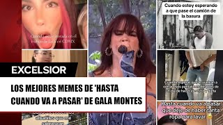 Los mejores memes de Hasta cuando va a pasar de Gala Montes [upl. by Innavoij623]