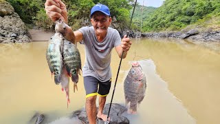 pescando mojarras tilapia y Bagre [upl. by Haym704]