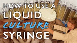 How to Use a Liquid Culture Syringe to Inoculate Grain Spawn the First Step in Mushroom Cultivation [upl. by Azeret]