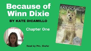 Because of Winn Dixie  Chapter One Read Aloud [upl. by Novrej]