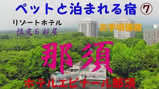 ペットと泊まれる宿⑦ 那須の大自然 リゾートホテル１日６部屋 那須エリア最大級ドッグラン [upl. by Zerk]