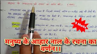 मनुष्य के आहार नाल के रचना का वर्णन करें पाचन तंत्रHuman digestive system in Hindi [upl. by Ativ]