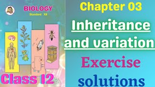 Inheritance and Variation class 12 biology chapter 3 exercise solutions [upl. by Aya]