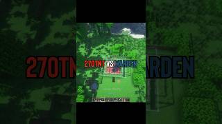 Minecraft 270 TNT vs Warden ☠️  will warden survive  minecraft [upl. by Kirshbaum140]