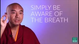 Buddhistischer Mönch teilt seine Geheimnisse der Meditation Mingyur Rinpoche Deutsch Monkey Mind [upl. by Hermina]