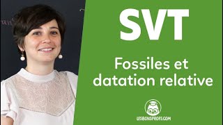 Fossiles et datation relative  SVT  Terminale  Les Bons Profs [upl. by Nilyam99]