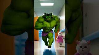 Hulk cat giant public publicfacts funnyvideos shorts shortvideo cat hulk new [upl. by Eniger934]