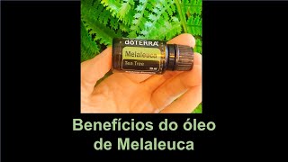 Benefícios do óleo de Melaleuca Tea Tree [upl. by Stepha163]