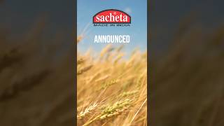 SACHEMT announced RECORDDATE SPLIT corporateactions Sacheta Metals Ltd share latest news [upl. by Marzi]