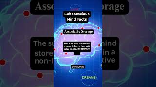 Associative Storage How the Subconscious Mind Organizes Information [upl. by Francyne]