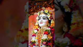 Shree Radha 🙏 [upl. by Aridni]