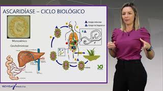 Ascaridíase e Tricuríase  Videoaula  Ciclo Básico de Medicina [upl. by Mairem326]