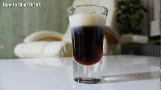 HOW TO MAKE a Sheridans Shot Drink  Bartender Basics [upl. by Ettezyl]