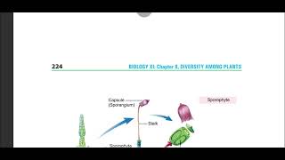 NonVascular plants Bryophytes Bryophytes their divisions and life cycle Bryophytes nonvascular [upl. by Asemaj]