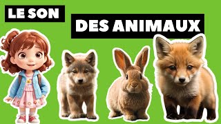 Apprendre les animaux et leurs bruits en français  Animaux pour enfants  Learn animals 🦊 [upl. by Keegan]