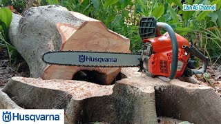 Chainsaw Husqvarna 125  Cut the Ceiba Pentandra Tree [upl. by Blunt307]