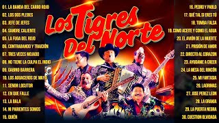 LOS TIGRES DEL NORTE MIX EXITOS ALBUM COMPLETO  PUROS CORRIDOS MIX MUSICA 2024 LO MAS ENAMORADO [upl. by Mariska]