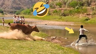 TRY NOT TO LAUGH 🤣🤣 Best Funny Videos compilation  Fail Of Videos 😂 P19 [upl. by Metsky406]