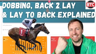 Dobbing Back to Lay amp Lay To Back Explained  Betfair Horse Racing Trading for Beginners [upl. by Atews]