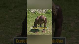 HIIT FULL BODY WITH WEIGHTED VEST WORKOUT  Advanced Total Body Training [upl. by Llerred]