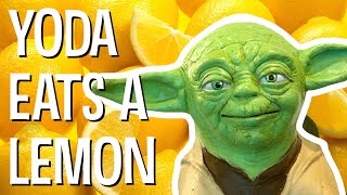 YODA EATS A LEMON  The Puppet Yoda Show [upl. by Mont276]