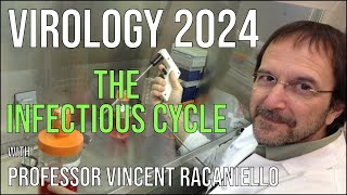 Virology Lectures 2024 2 The Infectious Cycle [upl. by Nolahp]