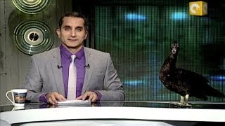 Bassem Youssef The Jon Stewart of Egypt [upl. by Ovida]