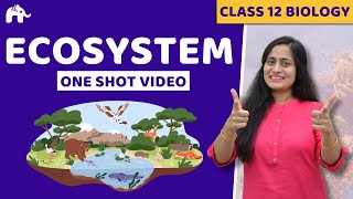 Ecosystem Class 12 One Shot  Biology NCERT Chapter 12  CBSE NEET [upl. by Padraig145]