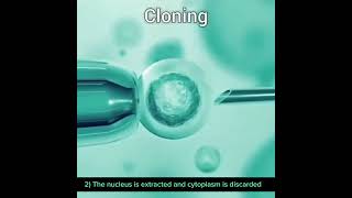 DNA Cloning 3D animation class12 [upl. by Atneciv]