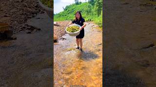 Amazing Fresh Hazelnut 🌰🌰 Harvest from Farm amp Rural Farmer Activites 👍 shorts satisfying [upl. by Zerep]