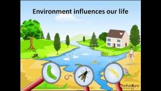 Science  What are Biotic and Abiotic Components of the Environment  Hindi [upl. by Valera]