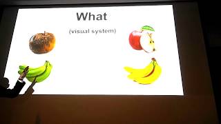 The semiotics of photography IACS3 2018 Talk Toronto Canada [upl. by Orren961]