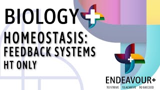 BIOL2 Feedback Systems HT Only [upl. by Mij]