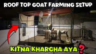 ROOF TOP FARMING BUSINESS PROFITABLE HA❓ DUSRA GHAR [upl. by Bamby]