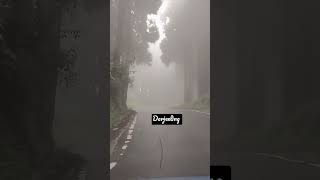 Darjeeling via mirik 2024 darjeeling nature ytshorts youtubeshorts viralvideo kk [upl. by Ardnajela]