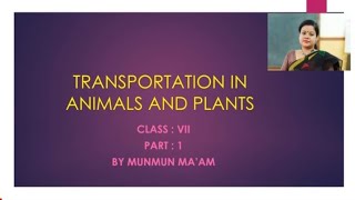 TRANSPORTATION IN ANIMALS AND PLANTS PART 1  CLASS 7  CBSEICSE [upl. by Negem]