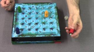 The Magic Labyrinth  A Dice Cup how to play video by Steve Raine [upl. by Isac]