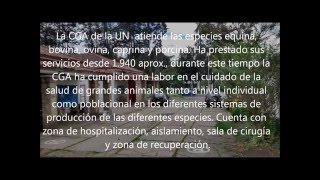 Facultad de Medicina Veterinaria y de Zootecnia  Universidad Nacional de Colombia [upl. by Ani]