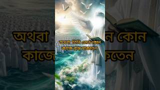 কি কাজে নিজেকে ব্যস্ত রাখেন kahealthandislam nomanalishortsfeed viralvideo nobiji [upl. by Winikka]