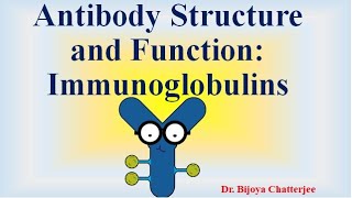 Antibody Structure and Functions [upl. by Rollecnahc]