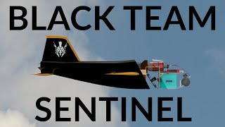 Sentinel UAV  Black Team 2019  Speedfest IX [upl. by Etnuhs]