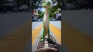 Geico commercial gecko 🦎 ￼ [upl. by Flore]