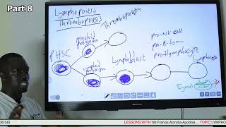 Lymphopoiesis and Thrombopiesis Part 8 [upl. by Teodoor]