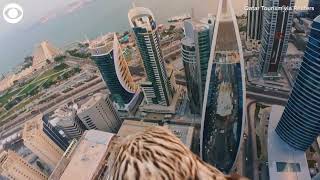 Falcon captures landmarks in Qatar from birdseye view [upl. by Brick]