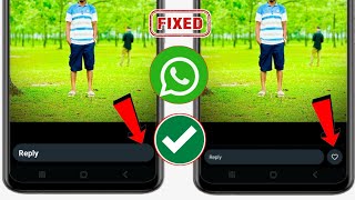 WhatsApp Status Like Option New Update  How To Fix Whatsapp Status Like Option Not Showing [upl. by Aihsa]