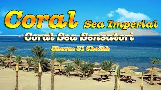 TUI BLUE Sensatori Coral Sea Imperial Sharm el Sheikh [upl. by Barbur]