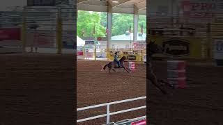 Nolan amp Edesse Descoteaux placing Ocala FL Pro rodeo 2024 [upl. by Isaak]