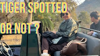 Hide and Seek with Tiger in Zone 1 Ranthambore Jeep Safari experience [upl. by Ellerud854]