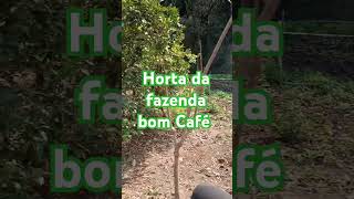 Horta da fazenda bom Café parte 2 [upl. by Ahseyi]